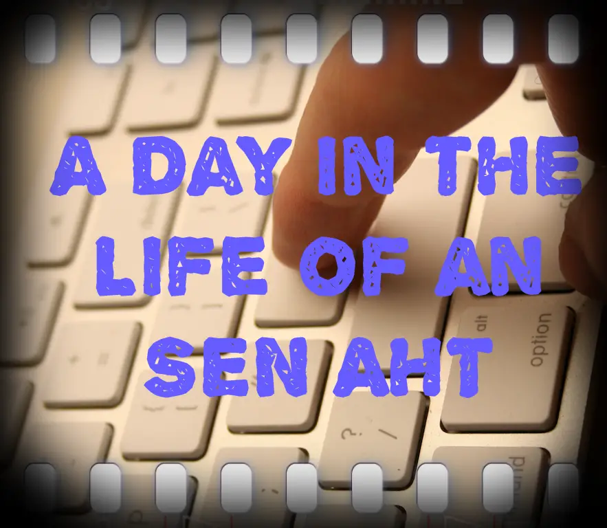 A Day in the Life of an SEN AHT