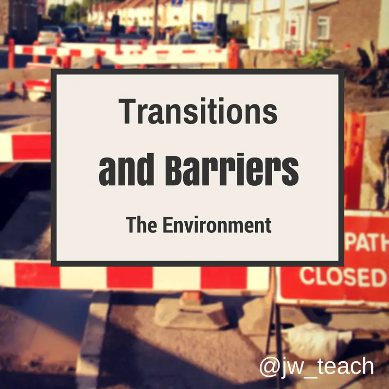 Autism: Environmental Barriers to Transition