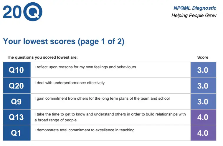 NPQML 20Q assessment.jpg
