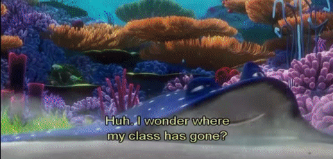 Nemo School Mr Ray.gif