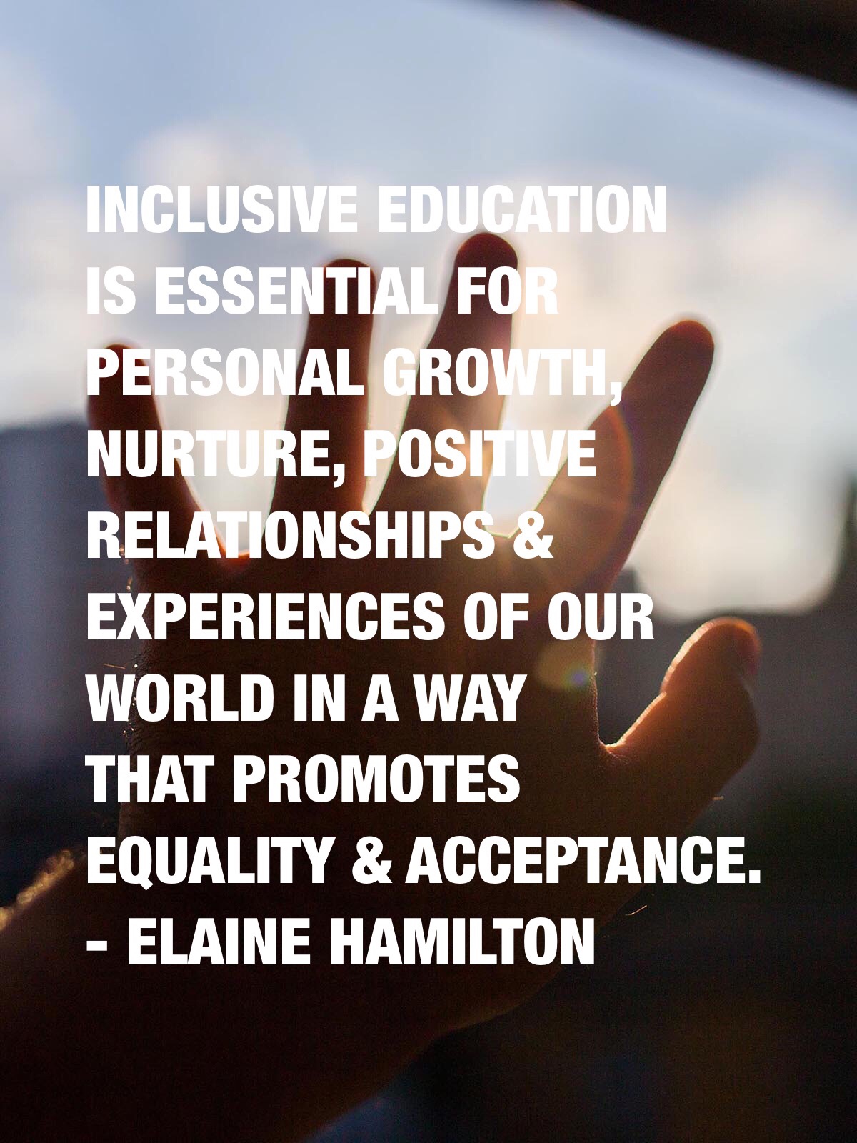 Inclusive education is essential for personal growth, nurture, positive relationships & experiences of our world in a way that promotes equality & acceptance. - Elaine Hamilton