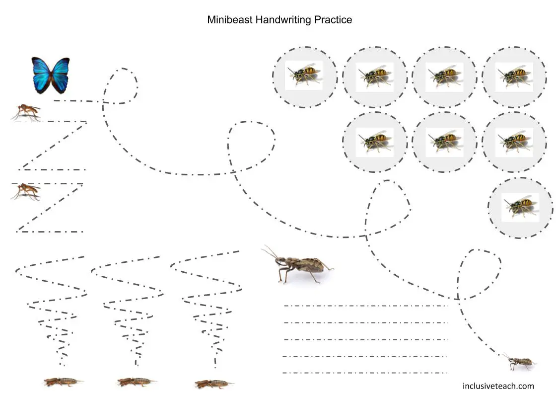 A free printbale worksheet for handwriting practice themed for minibeast topic.