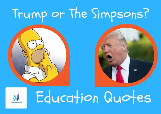 Education: Trump or Simpsons