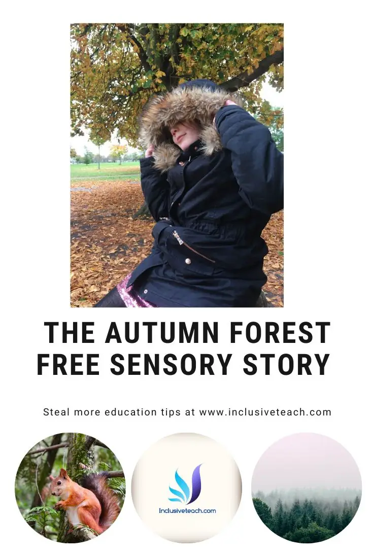 Sensory Story: The Autumn Forest
