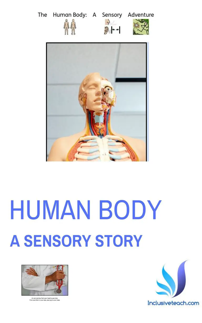 Sensory Story: Human Body