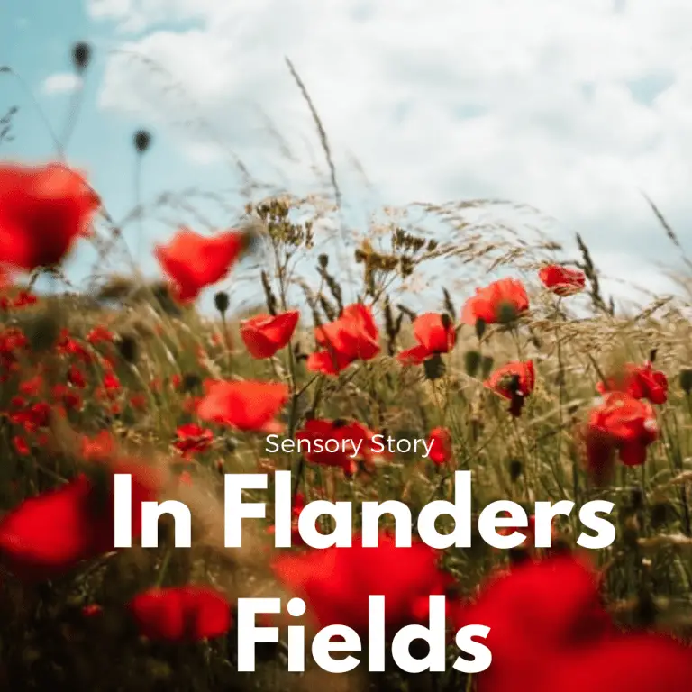 In Flanders Fields Sensory Story
