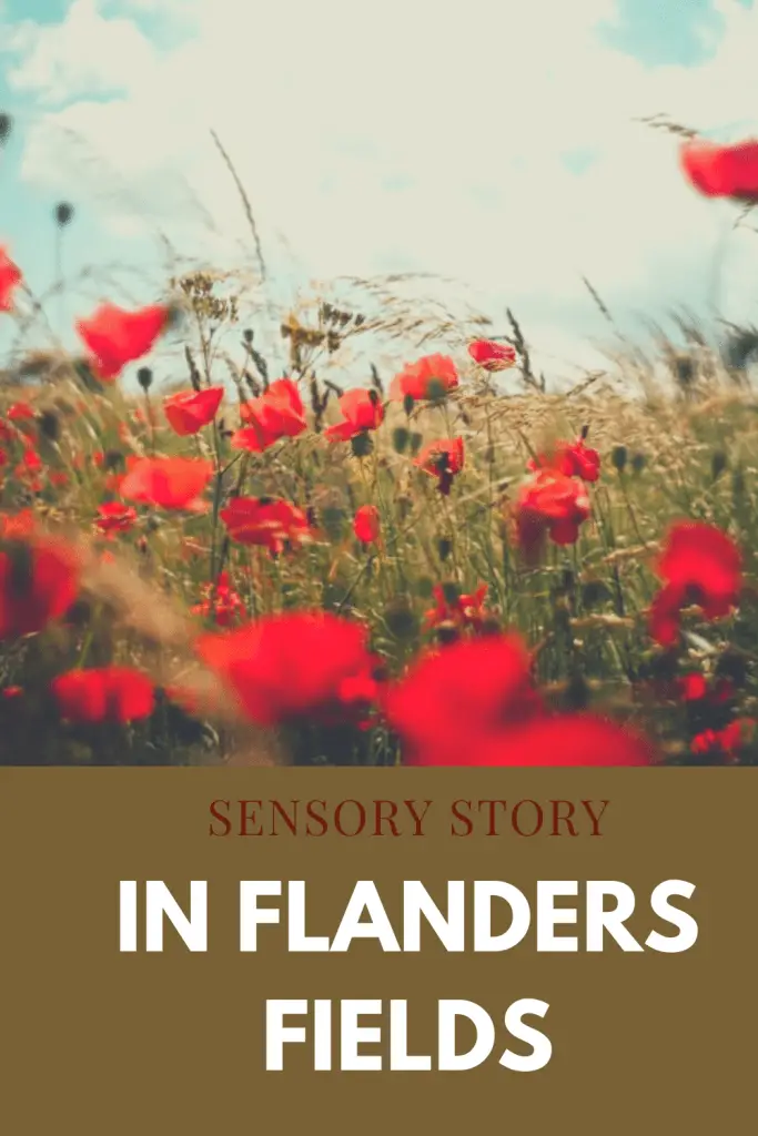 In flanders fields sensory story PMLD