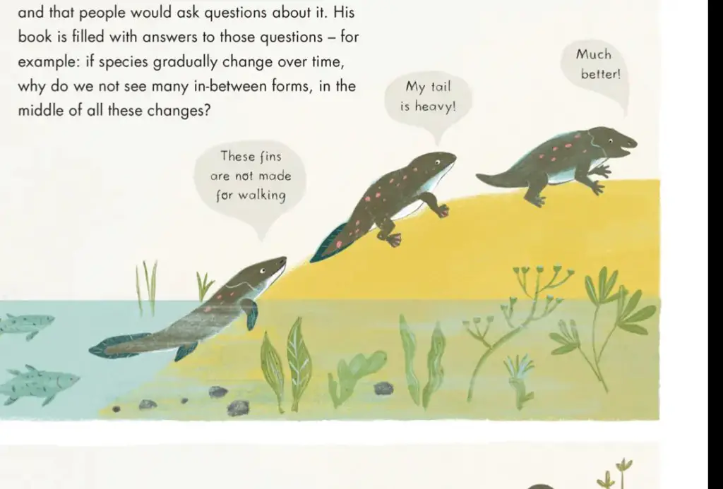 Evolution illustrated childrens book