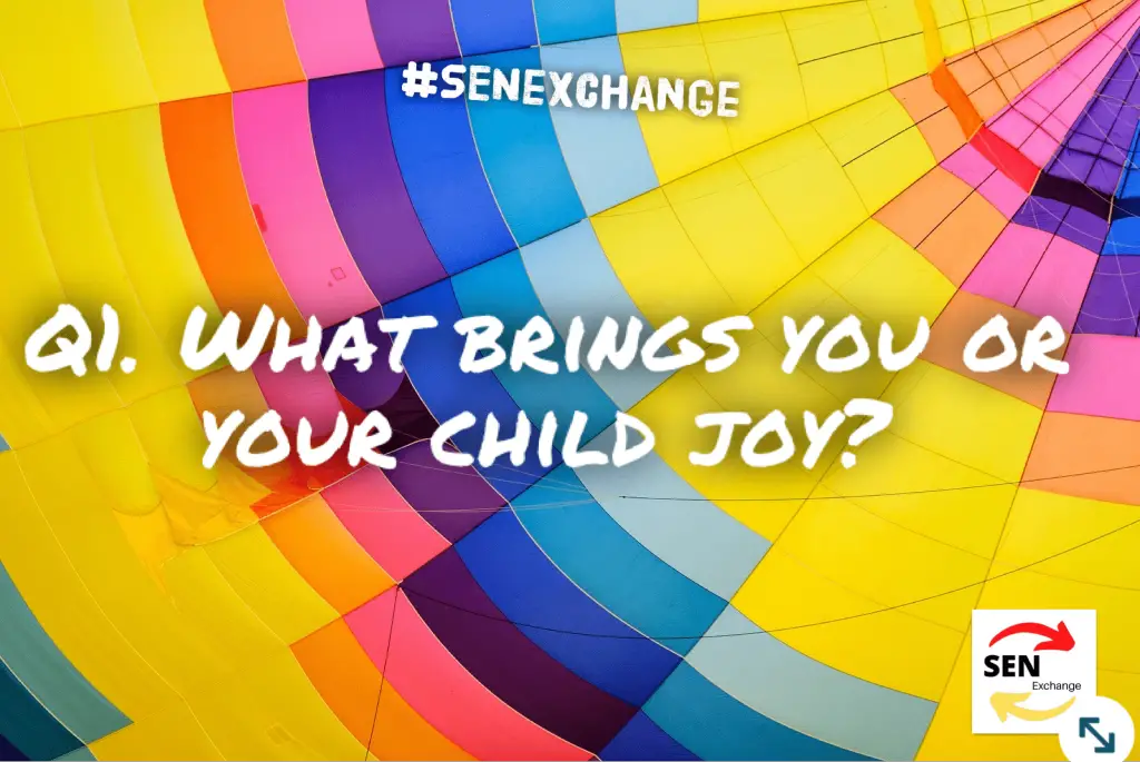 What brings you or your child joy?