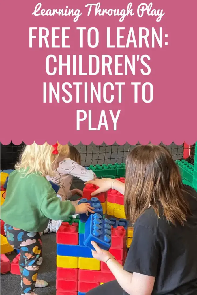 Free To Learn: Children's Instinct To Play