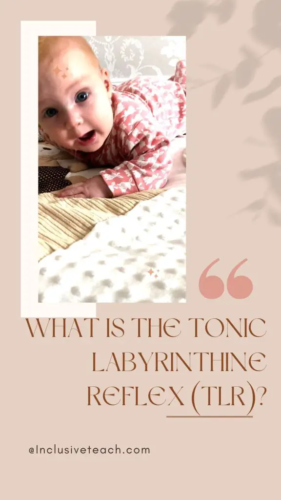 What is the Tonic Labyrinthine Reflex (TLR)?